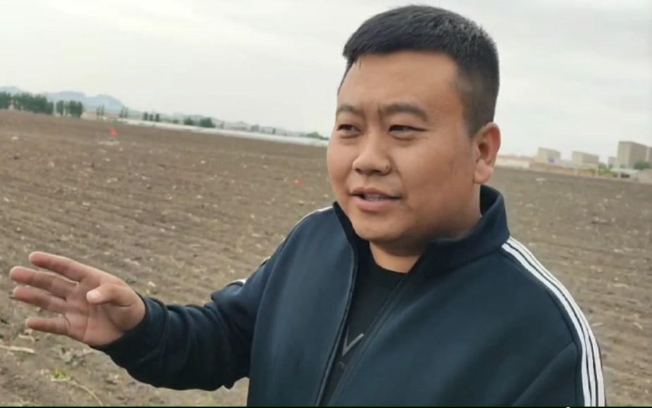 用了旱科威   玉米不缺苗
